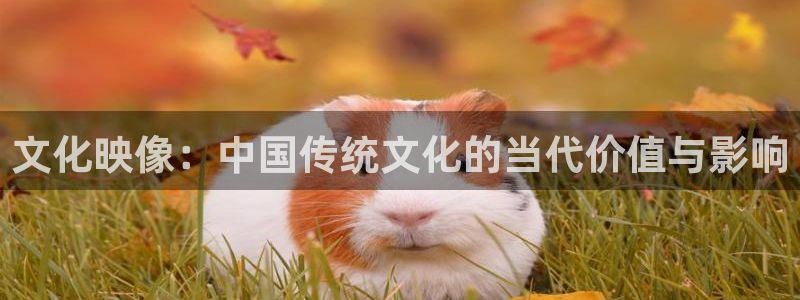 樱花在线观看影院