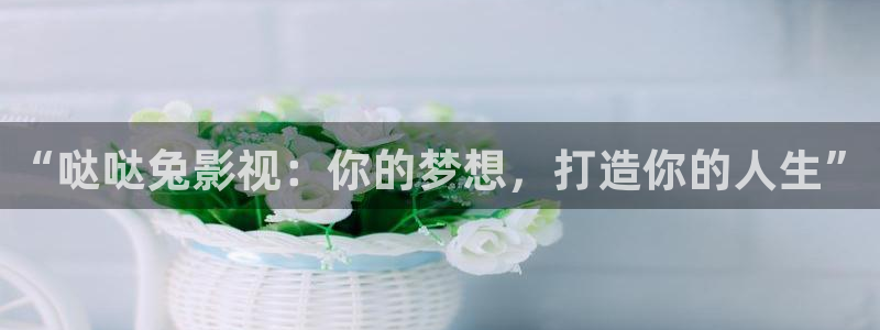 樱花午夜免费影院